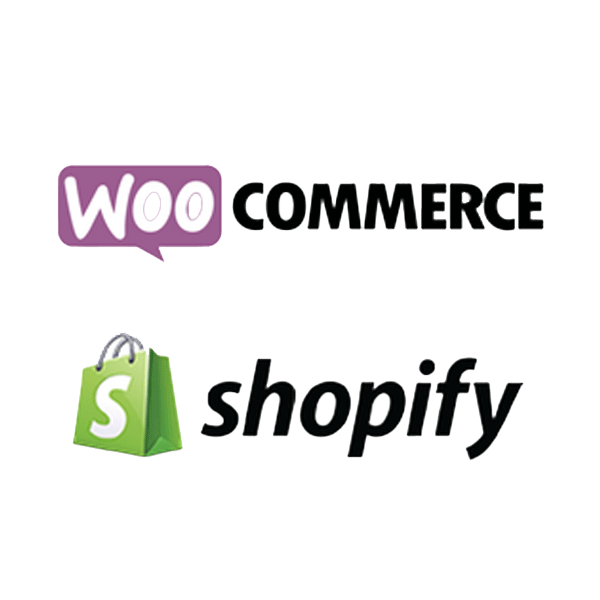 Why a Great Website Matters