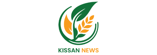 Untitled design 12 e1764933422738